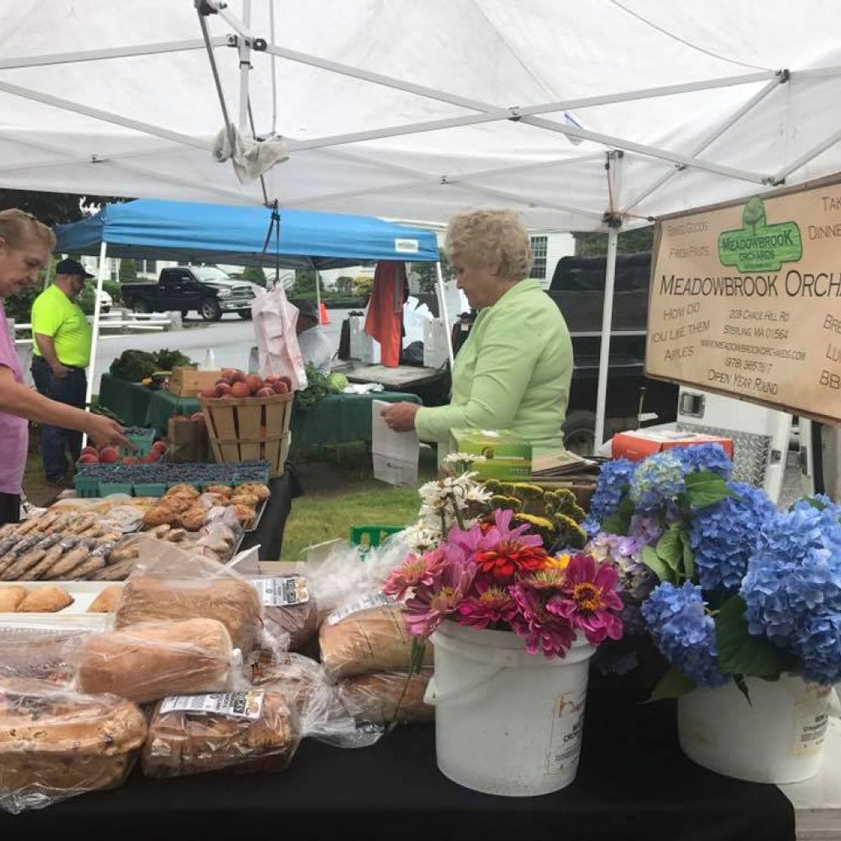 Meadowbrook Orchards